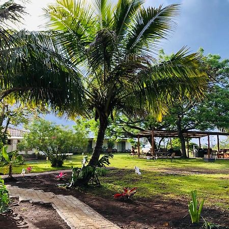 Hare Pakoba Guest House Hanga Roa Exterior foto