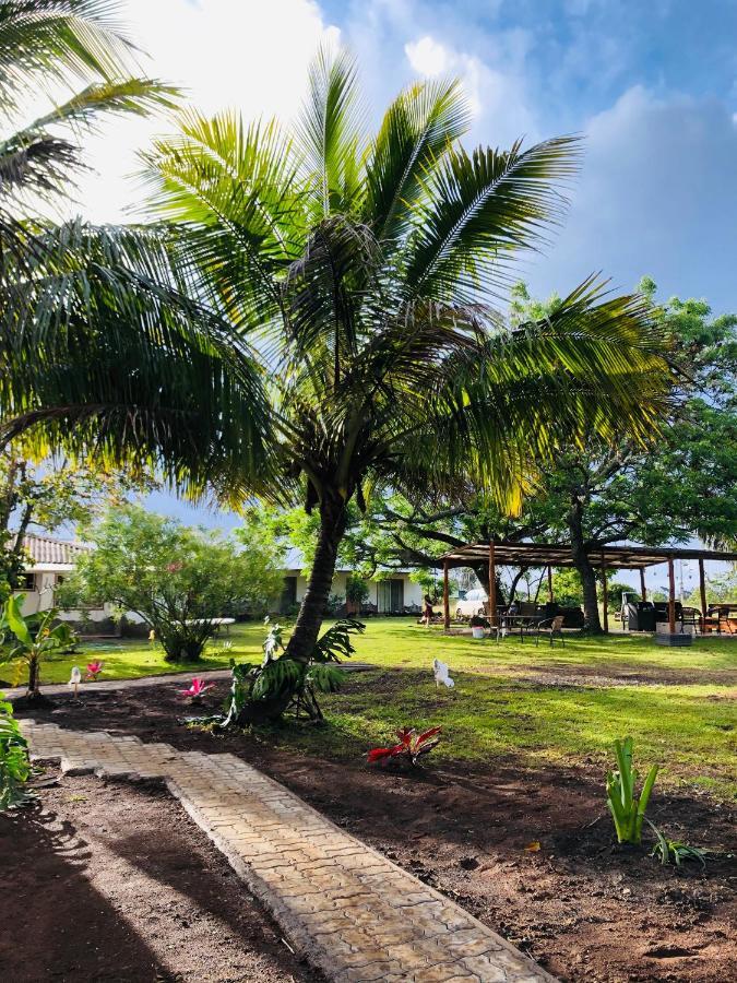 Hare Pakoba Guest House Hanga Roa Exterior foto